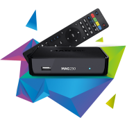 1 AYLIK MAG 250 SERVER